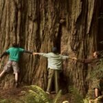 Why Gratitude Matters