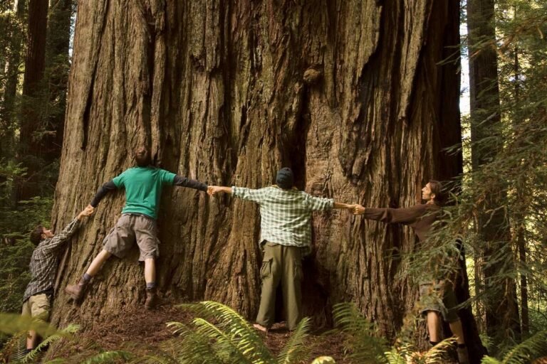 Why Gratitude Matters