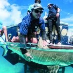 Innovation for Good: Beneath the Waves and AKUA