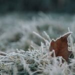 Building Cardiovascular resilience to climate change