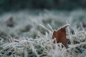 Building Cardiovascular resilience to climate change