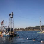 Currents in Aquaculture