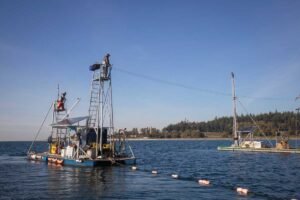 Currents in Aquaculture