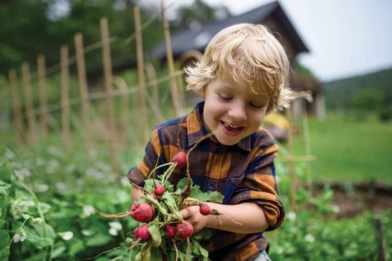 Feeding healthy smiles
