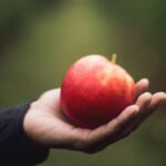 Saving Our Food From Extinction