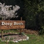 Cultivating Sustainability