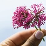 Protect Your Health and Resist Illness