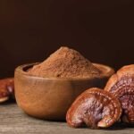 Innovation for Good: Rainforest Foundation US and Save the Rainforest Bars