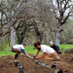 Innovation for Good: SIMPLi and Regenerative Organic Alliance