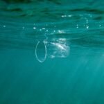 Plastic: It’s in Our Blood