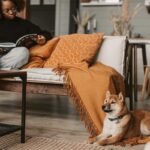 New Year, New Mindset