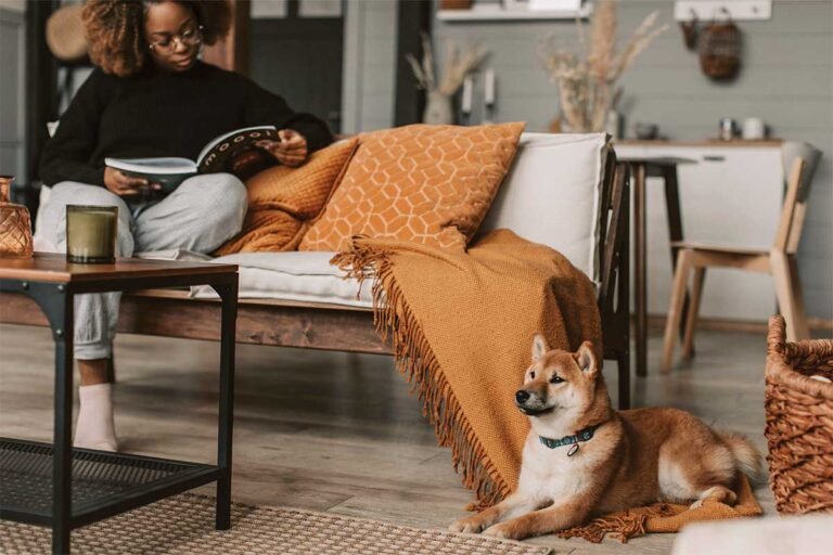 New Year, New Mindset