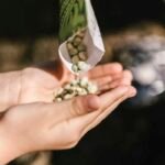 Exercising Your Seed Sovereignty for a Better Food System