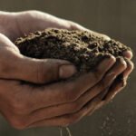 Cultivating a Climate Change Remedy