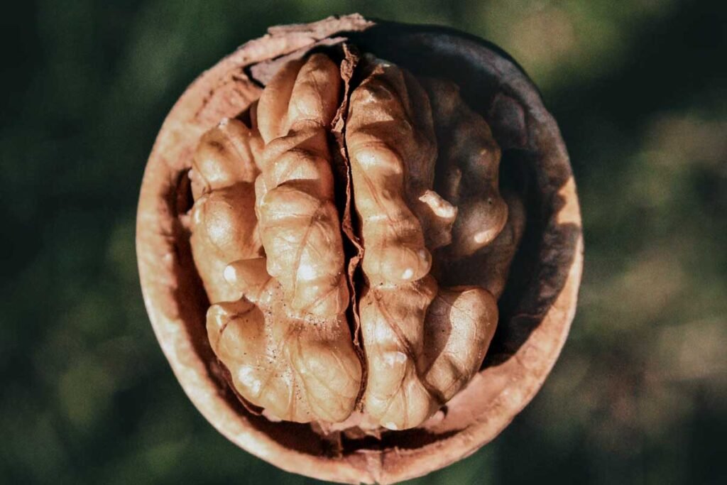 Unravelling the Mysteries of Memory