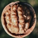 Unravelling the Mysteries of Memory