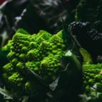 6 Tips for Vegan Meal-Planning Like a Pro