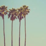 Get the best skin, hair & nails for summer …