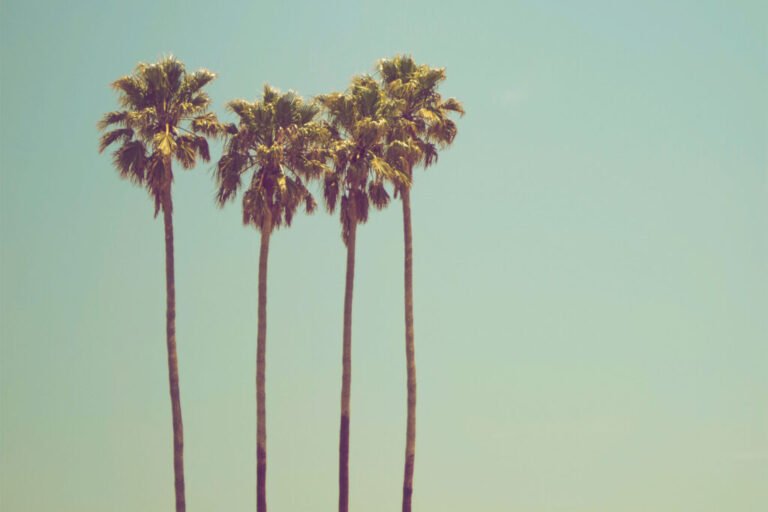 Get the best skin, hair & nails for summer …