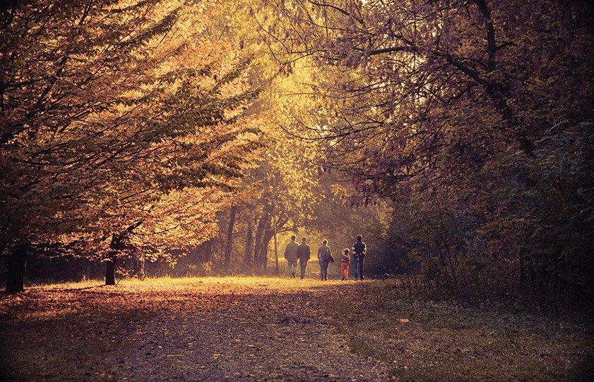 Family Friendly Fall Activities