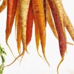 Nutrition and mental health